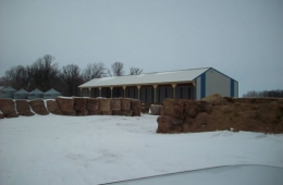 Cattle shed - Rosser, MB