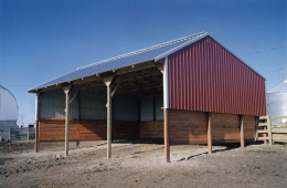 Cattle shelter - Poplarfield, MB